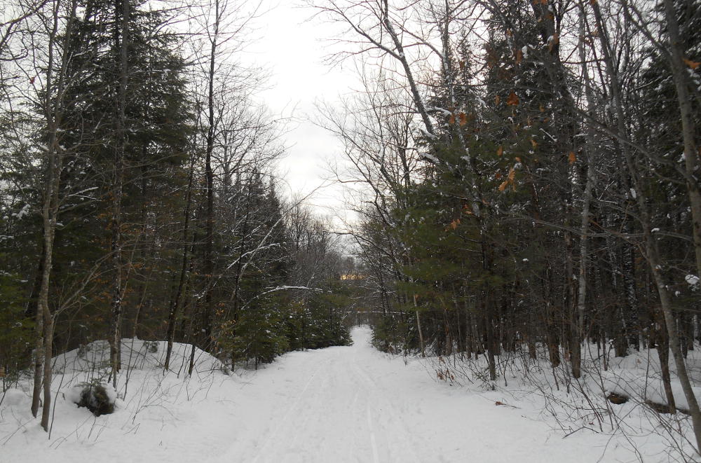 Photo &agrave; venir